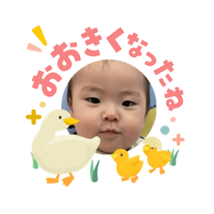 mei_20260511090150