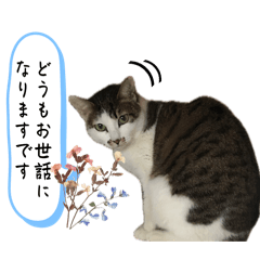 Yukie_20260511091526