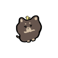 nutyou_20260511041422
