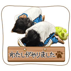 kasumi_20260511091721
