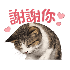 多B