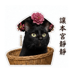 後宮~喵嗚 !