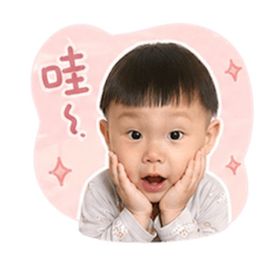 秀水小暴龍