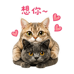 麻吉&二瞳