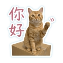 橘呆日常