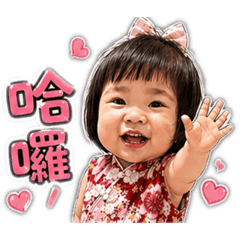 龍蝦小胖的日常