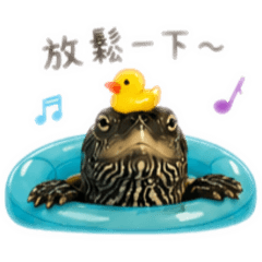 嘎米日常回覆2