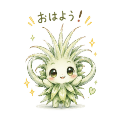 Air plants