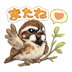 CHAO_20260511055459