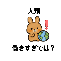 miya_20260511060939