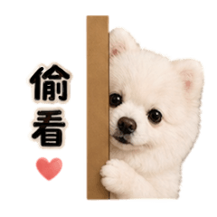 咪嚕的療癒表情包