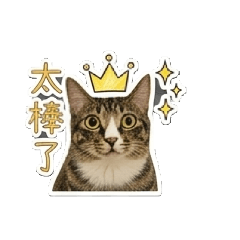 國四＆韓吉