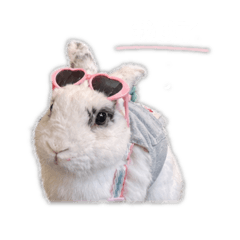 肉崽舖