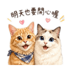 ［可愛爆擊］奶酪與切達的呆萌日常