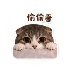 這是小歐里（修正版）