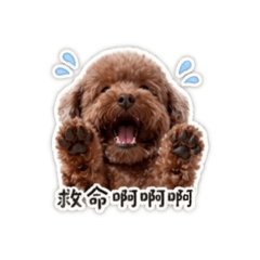 BB 第二彈