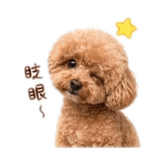 尼咘對你撒嬌