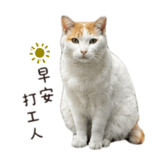 咪～～～