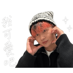 老馬貼圖