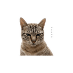厭世歐藤