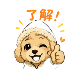 riku_20260511075027
