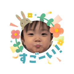 maru_20260511082041
