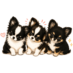 siiiiikun_20260511081641