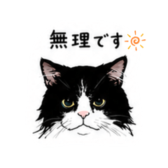 moo_20260511080624
