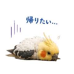 Ai_20260511075205