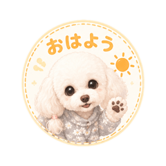 strawberry_20260511080553