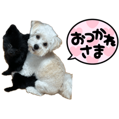 IZU_20260511105031