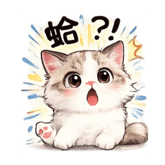貓奴一天心情