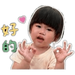 我是杉杉肉包