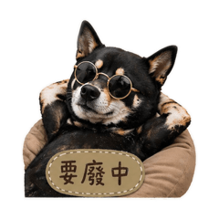 台南阿財日常2