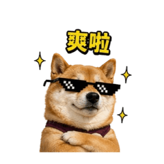 陳哈嚕陪著你3