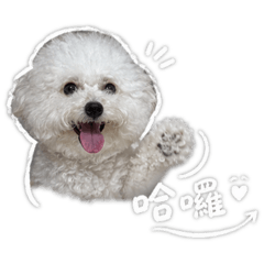 Q小宝