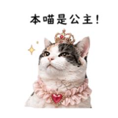 本喵福寶是公主－傲嬌篇