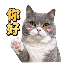 Lumi小公主3.0