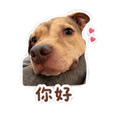 啊小妞
