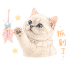 咘咘の小小星球｜日常撒嬌貼圖包