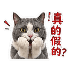 胖噗