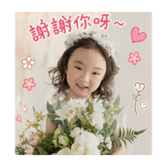 Q寶可愛
