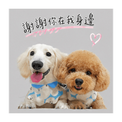 姆姆DiDiの貼圖