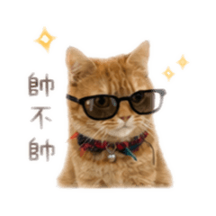 艾莉的小劇場2
