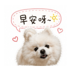 博美Q寶日常用貼圖1