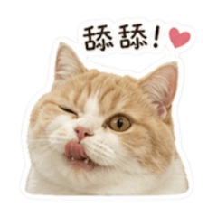 仙仙ㄦ日常