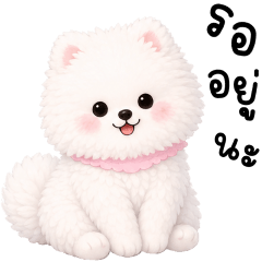 POPPY CUTIE PUPPY 100%