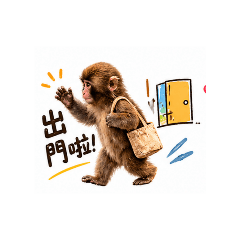 panchi20260428