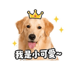 Dobby裝可愛