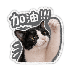葵葵葵葵葵